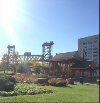 Cutie Pies Day In Chicago